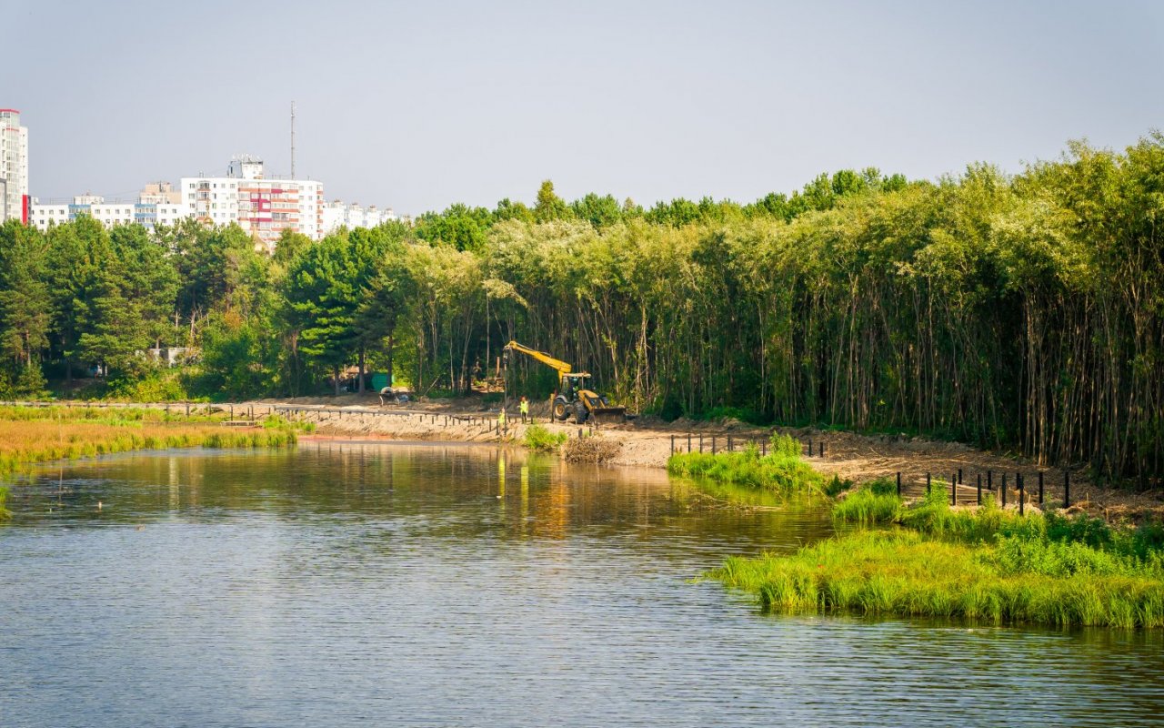 В парке "За Саймой" в Сургуте спилили опасные деревья